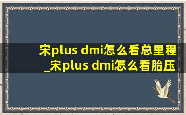 宋plus dmi怎么看总里程_宋plus dmi怎么看胎压